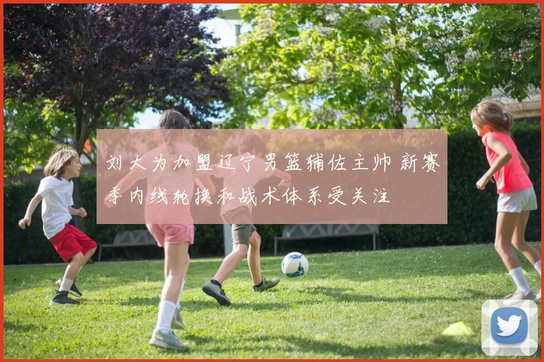 刘大为加盟辽宁男篮辅佐主帅 新赛季内线轮换和战术体系受关注