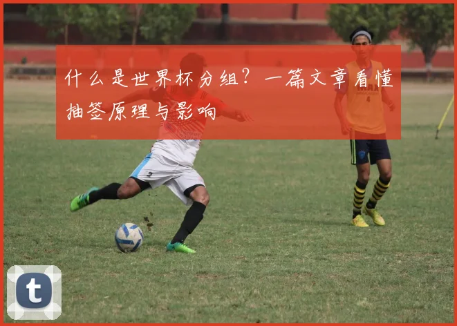 什么是世界杯分组?一篇文章看懂抽签原理与影响